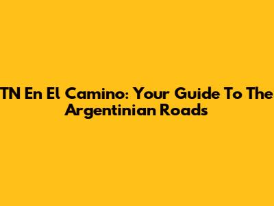 TN En El Camino: Your Guide To The Argentinian Roads