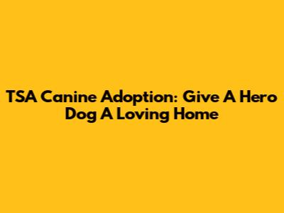 TSA Canine Adoption: Give A Hero Dog A Loving Home