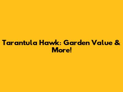 Tarantula Hawk: Garden Value & More!