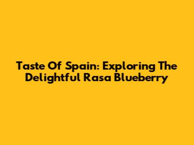 Taste Of Spain: Exploring The Delightful Rasa Blueberry