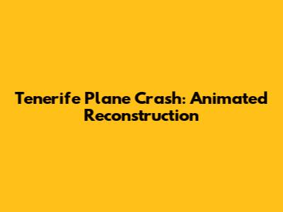 Tenerife Plane Crash: Animated Reconstruction