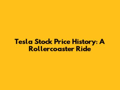 Tesla Stock Price History: A Rollercoaster Ride