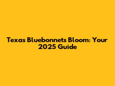 Texas Bluebonnets Bloom: Your 2025 Guide
