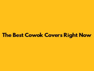 The Best Cowok Covers Right Now