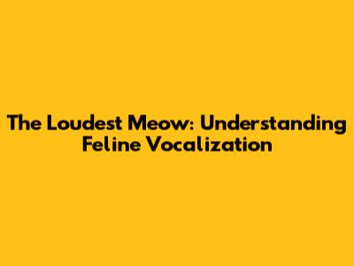 The Loudest Meow: Understanding Feline Vocalization