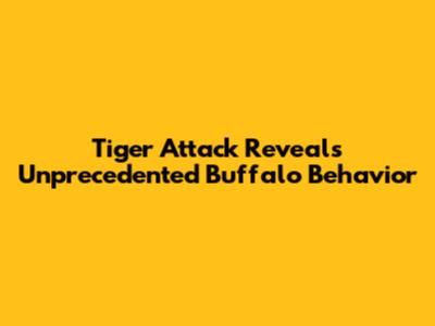 Tiger Attack Reveals Unprecedented Buffalo Behavior