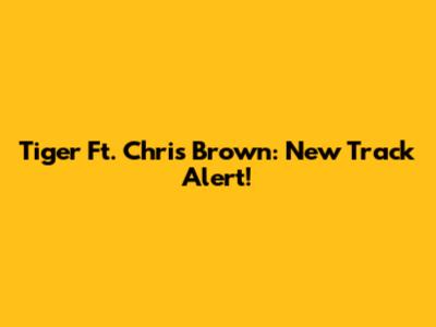 Tiger Ft. Chris Brown: New Track Alert!