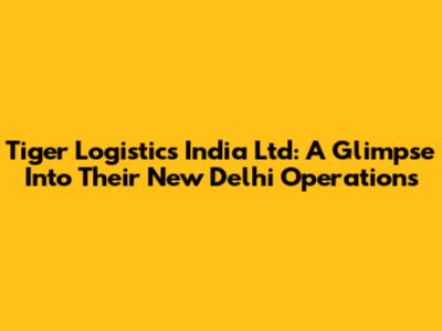 Tiger Logistics India Ltd: A Glimpse Into Their New Delhi Operations