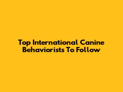 Top International Canine Behaviorists To Follow