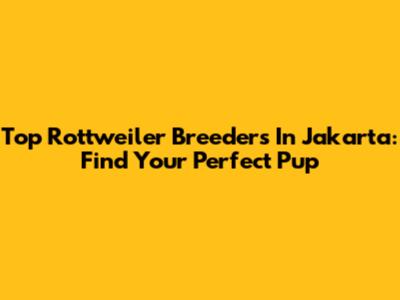 Top Rottweiler Breeders In Jakarta: Find Your Perfect Pup