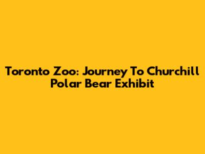 Toronto Zoo: Journey To Churchill Polar Bear Exhibit