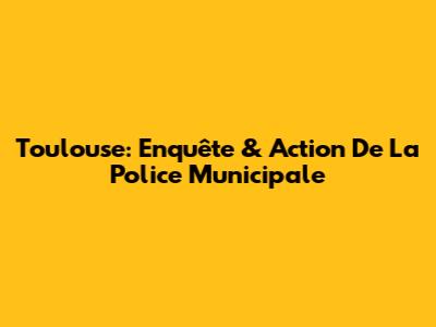 Toulouse: Enquête & Action De La Police Municipale
