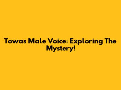Towa's Male Voice: Exploring The Mystery!