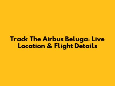 Track The Airbus Beluga: Live Location & Flight Details