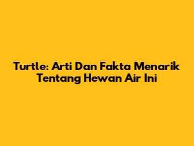 Turtle: Arti Dan Fakta Menarik Tentang Hewan Air Ini