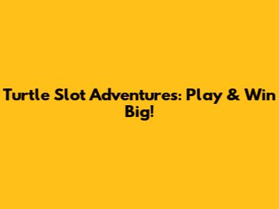 Turtle Slot Adventures: Play & Win Big!