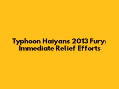 Typhoon Haiyan's 2013 Fury: Immediate Relief Efforts