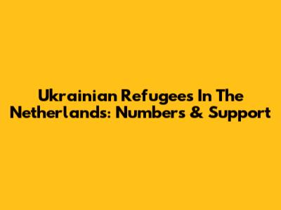 Ukrainian Refugees In The Netherlands: Numbers & Support