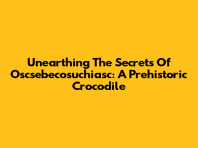 Unearthing The Secrets Of Oscsebecosuchiasc: A Prehistoric Crocodile