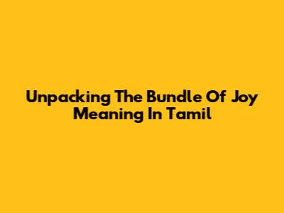 Unpacking The 'Bundle Of Joy' Meaning In Tamil