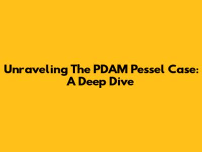 Unraveling The PDAM Pessel Case: A Deep Dive