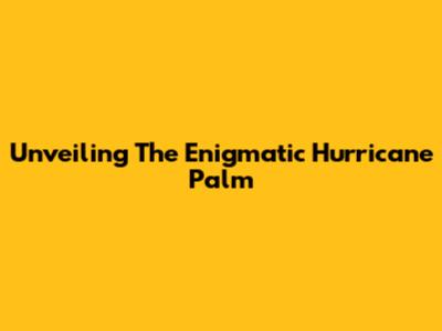 Unveiling The Enigmatic Hurricane Palm
