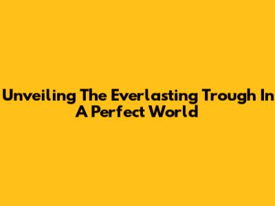Unveiling The Everlasting Trough In A Perfect World