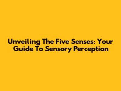 Unveiling The Five Senses: Your Guide To Sensory Perception