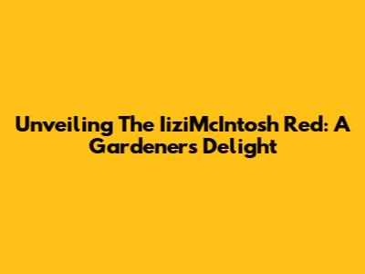Unveiling The IiziMcIntosh Red: A Gardener's Delight