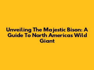 Unveiling The Majestic Bison: A Guide To North America's Wild Giant