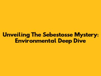 Unveiling The Sebestosse Mystery: Environmental Deep Dive
