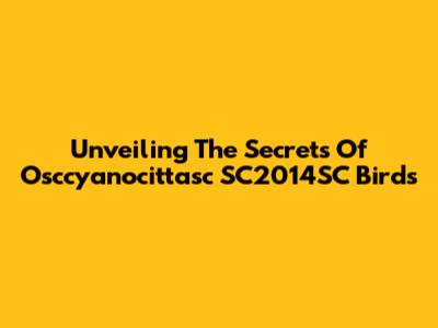 Unveiling The Secrets Of Osccyanocittasc SC2014SC Birds