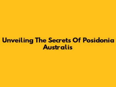 Unveiling The Secrets Of Posidonia Australis