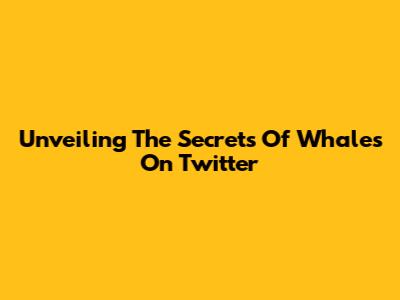 Unveiling The Secrets Of Whales On Twitter