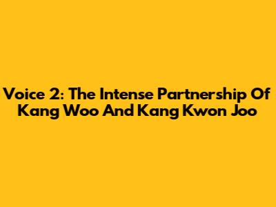 Voice 2: The Intense Partnership Of Kang Woo And Kang Kwon Joo