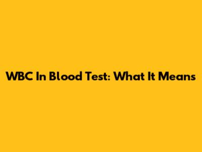 WBC In Blood Test: What It Means