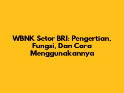 WBNK Setor BRI: Pengertian, Fungsi, Dan Cara Menggunakannya