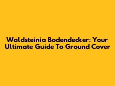 Waldsteinia Bodendecker: Your Ultimate Guide To Ground Cover