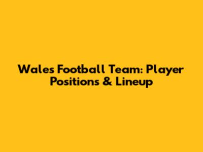 Wales Football Team: Player Positions & Lineup