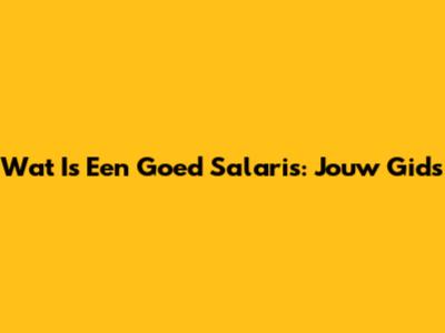 Wat Is Een Goed Salaris: Jouw Gids
