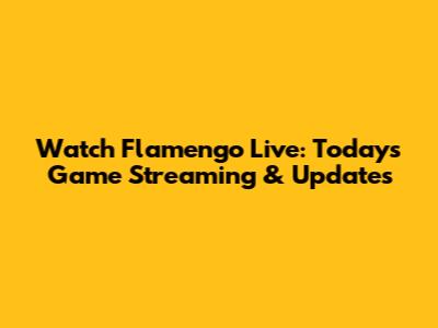 Watch Flamengo Live: Today's Game Streaming & Updates