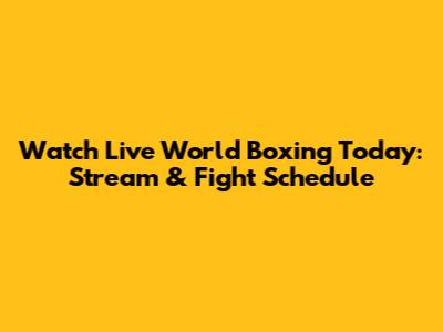 Watch Live World Boxing Today: Stream & Fight Schedule