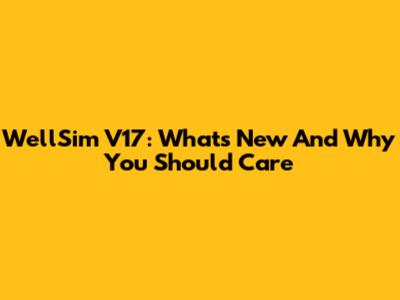 WellSim V17: What's New And Why You Should Care