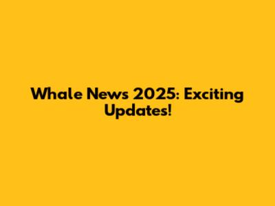 Whale News 2025: Exciting Updates!