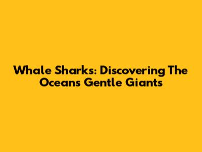 Whale Sharks: Discovering The Ocean's Gentle Giants