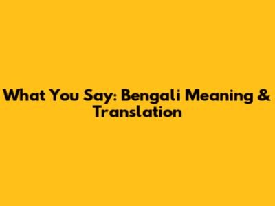 What You Say: Bengali Meaning & Translation