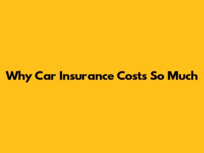 Why Car Insurance Costs So Much