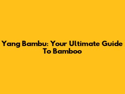 Yang Bambu: Your Ultimate Guide To Bamboo