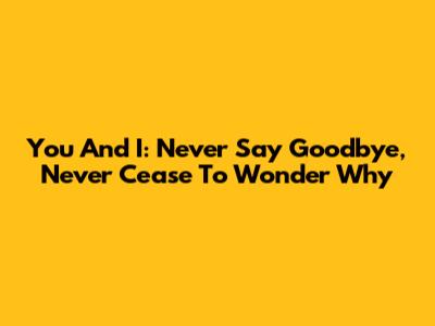 You And I: Never Say Goodbye, Never Cease To Wonder Why
