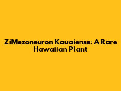 ZiMezoneuron Kaua'iense: A Rare Hawaiian Plant